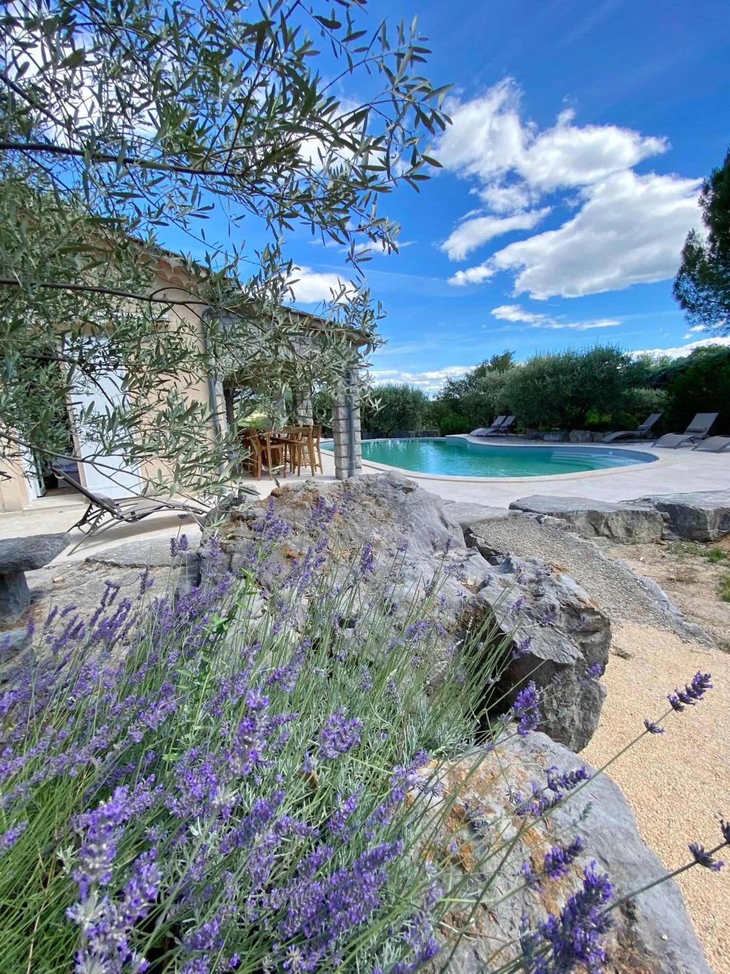 Maison Pour 12P, Piscine A Debordement Chauffee D'Avril A Octobre Inclus Ruoms Eksteriør bilde